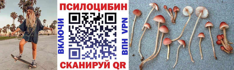 даркнет сайт  ОМГ ОМГ как войти  Псилоцибиновые грибы Psilocybe  Можайск 
