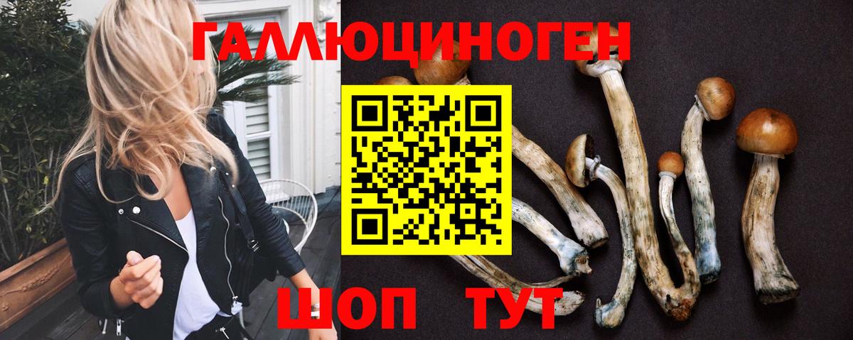Можайск  Псилоцибиновые грибы Magic Shrooms  Вход с VPN 